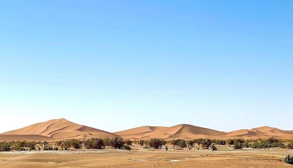 Chegaga Desert Trips Camp M'Hamid Eksteriør billede