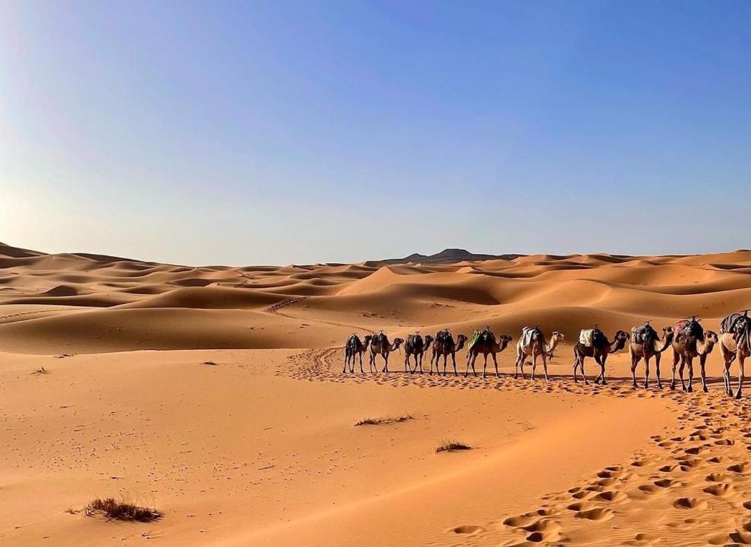 Chegaga Desert Trips Camp M'Hamid Eksteriør billede